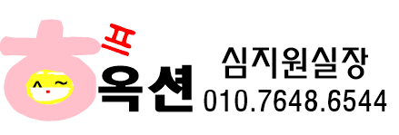 하프옥션심지원.PNG